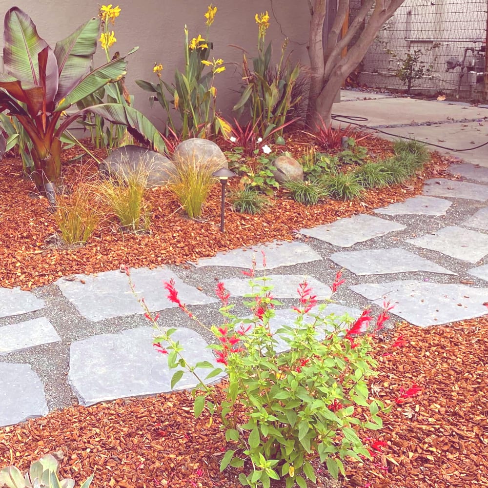 Unique stone walkway landscape design in Oakland